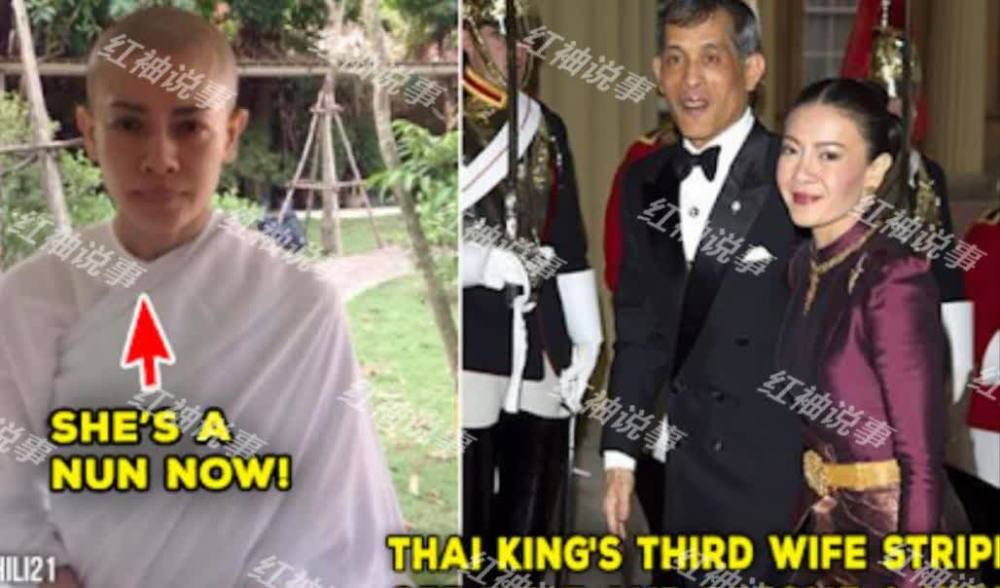 泰国国王迎回西拉米图片