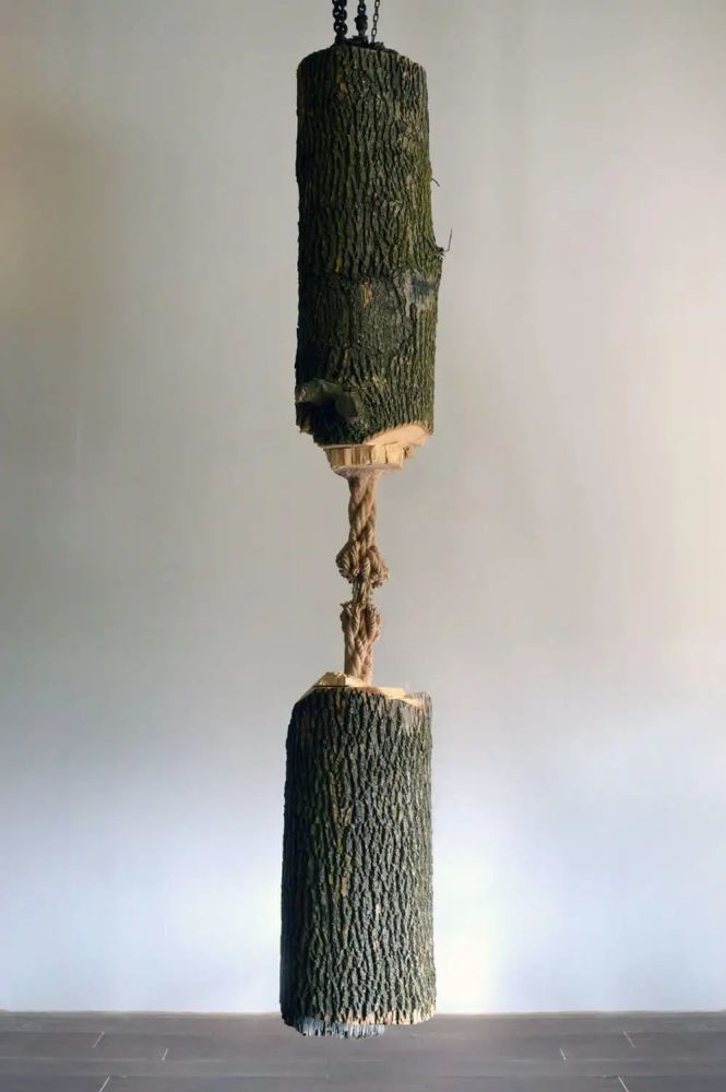 古有铁杵磨针,今天有人将粗木头刻成一股绳子,不只需要恒心