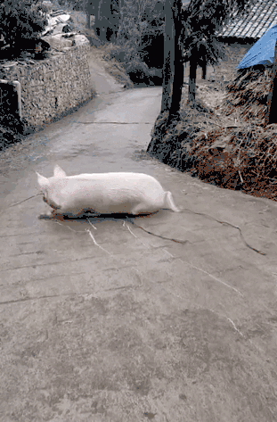一周冰纷播|交警查酒驾查到表哥 对话曝光逗乐网友
