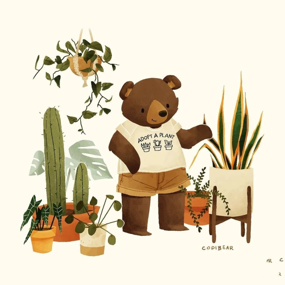 可爱小熊插画欣赏美国插画家codibear