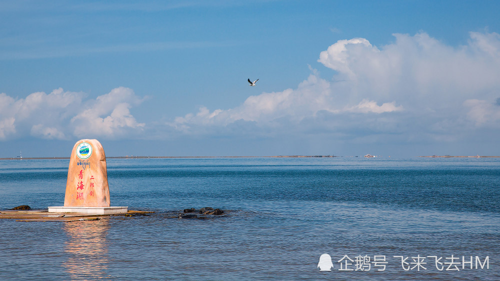 青海湖青色的海