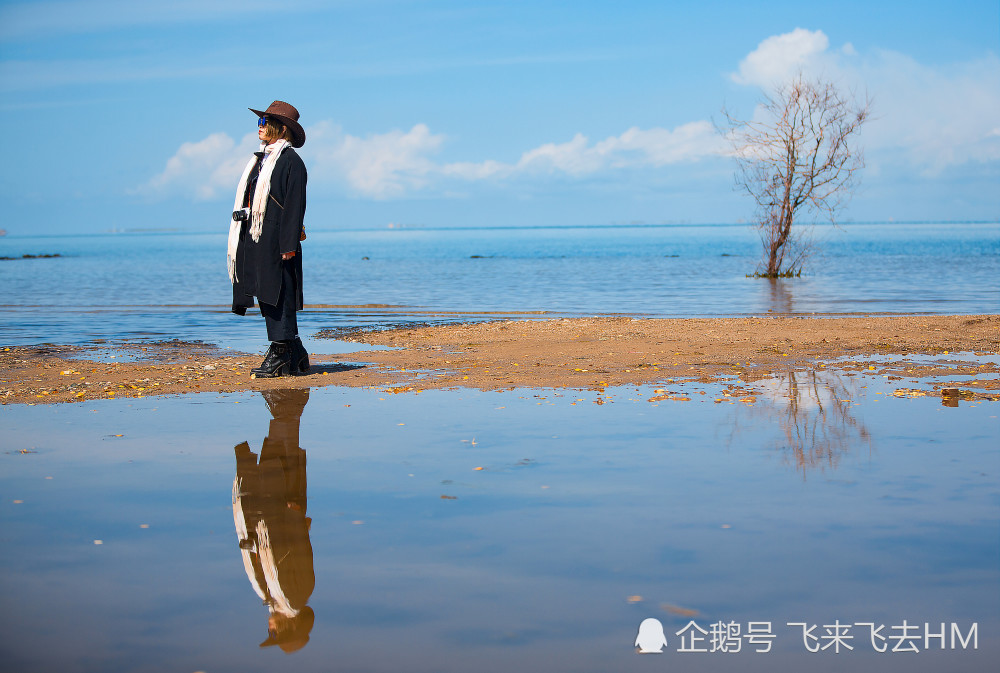 青海湖青色的海