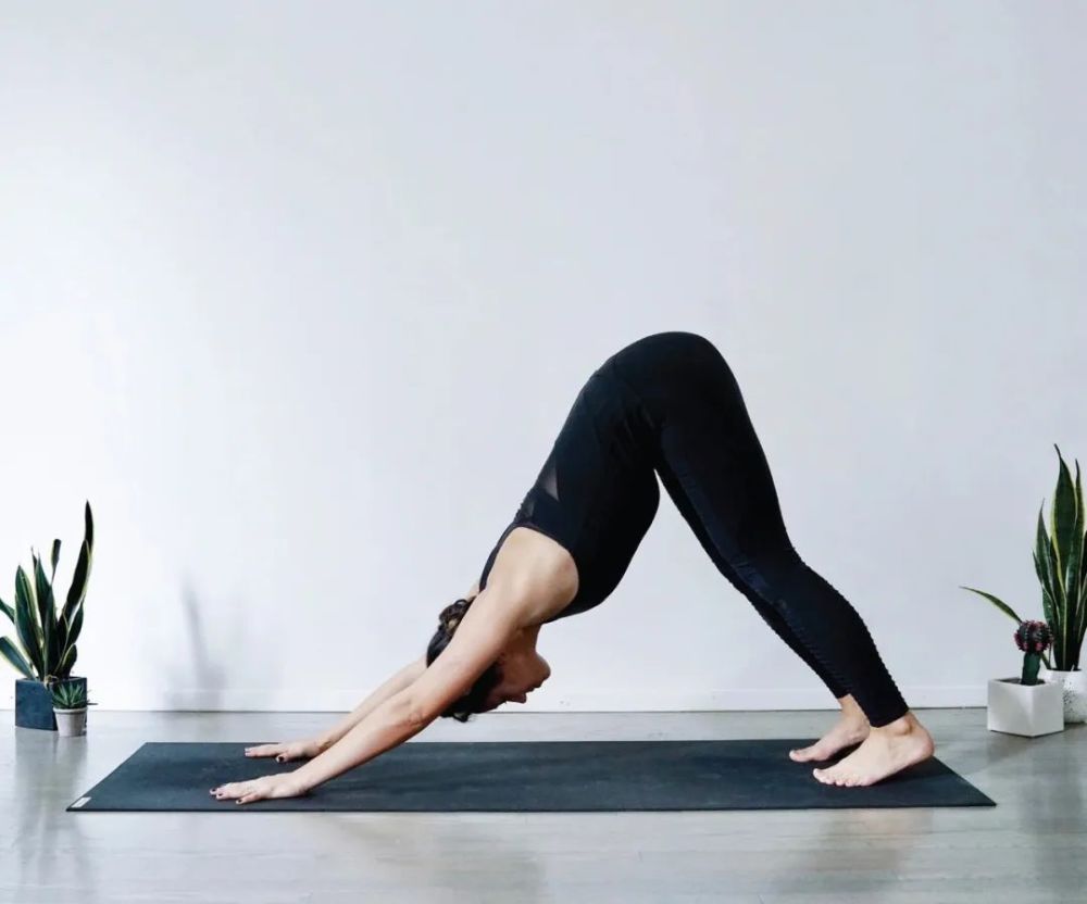 一套适合晨起练习的流瑜伽序列,伸展全身,练完一整天元气满满!