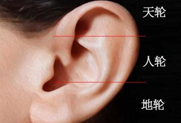 耳朵|耳相|招财|耳垂