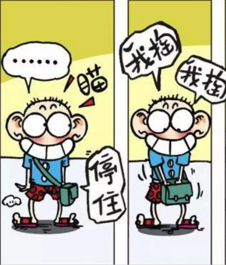 搞笑阿呆的方向灯