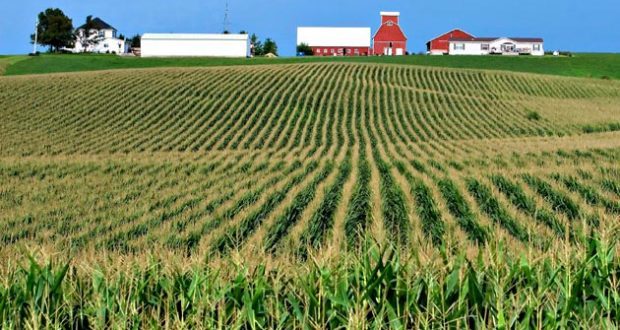 比尔盖茨成为美国拥有农田最多的人美网友质疑其囤积耕地目的