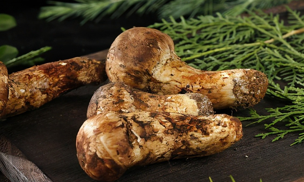 1公斤670元日本松茸告急松茸进口60来自中国为何松茸如此贵