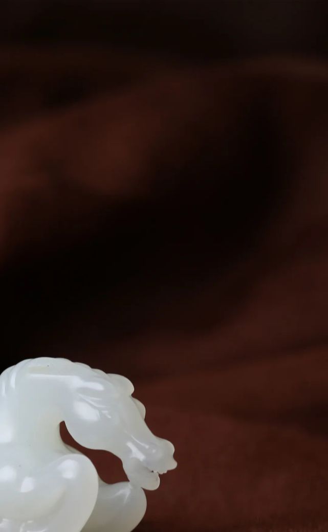 皎皎白驹(皎皎白驹什么意思)