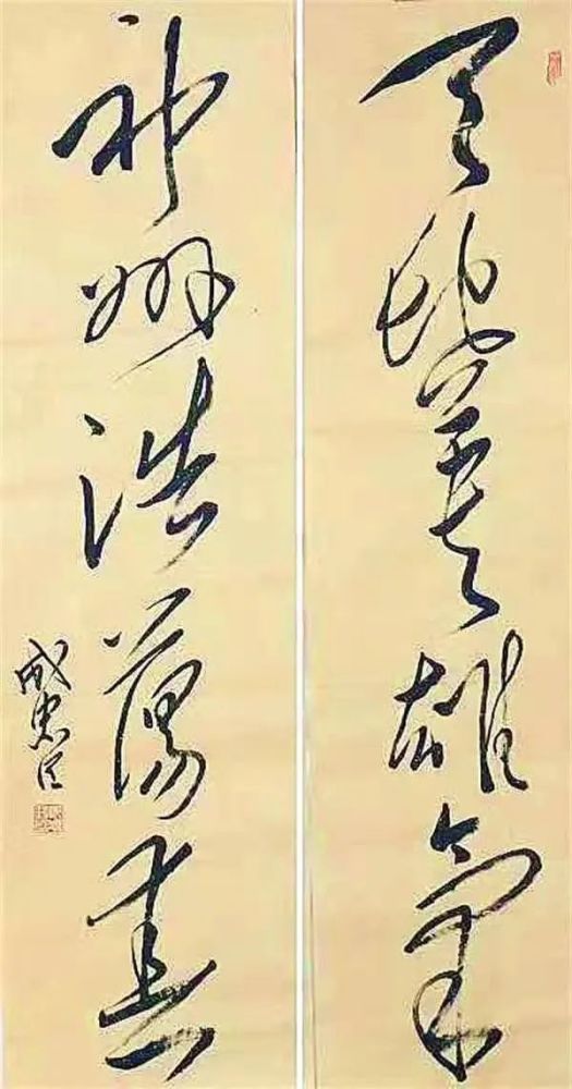 成忠臣:浅议书法的种类及其特征_腾讯新闻