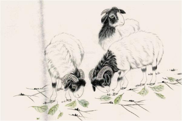 属羊的人出生以下4个时辰命好到老天爷都嫉妒看看你家有吗