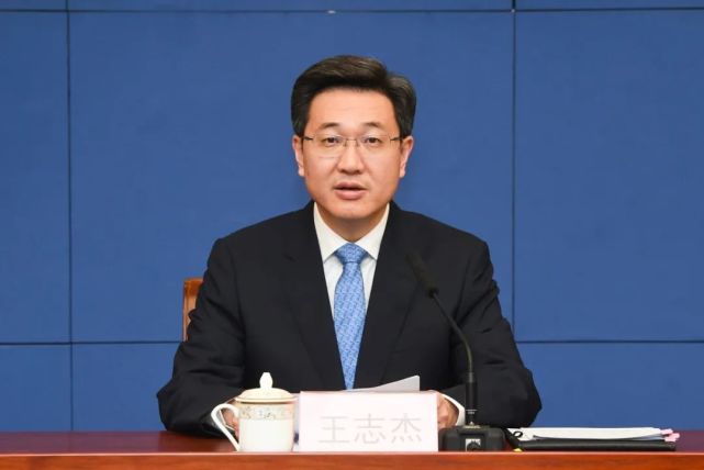 加快做大做强,实现高质量发展|王志杰|重庆|高水平开放|两江新区|悦来