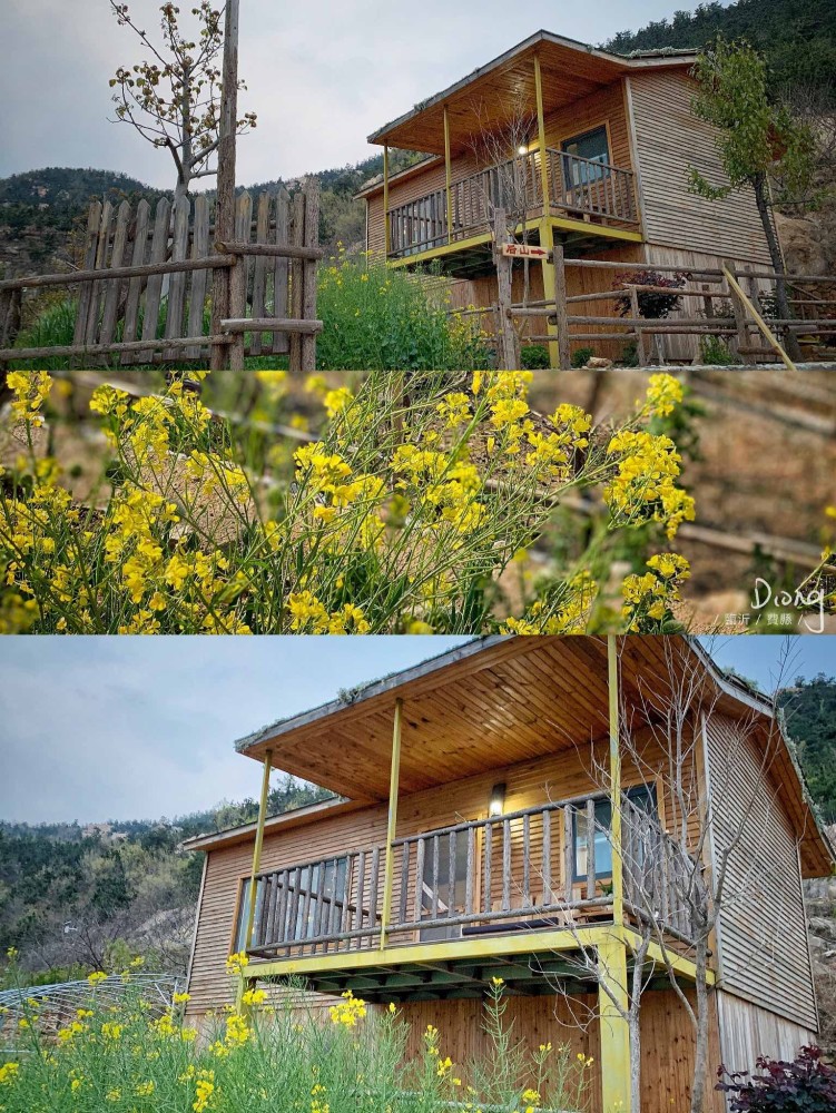 不冷静の费县|开在山里的民宿_腾讯新闻