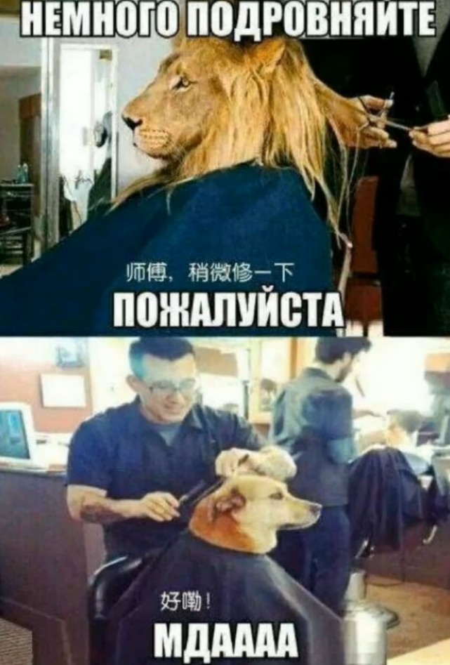 搞笑趣图当你去理发店让师傅稍微修一下头发理发师给你剪的