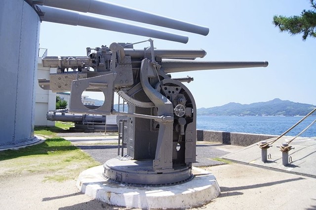 当时世界多个国家都先后研制了此类装备,其中著名者如88毫米高射炮