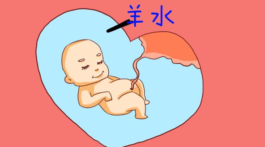 羊水究竟是从哪里流出来?