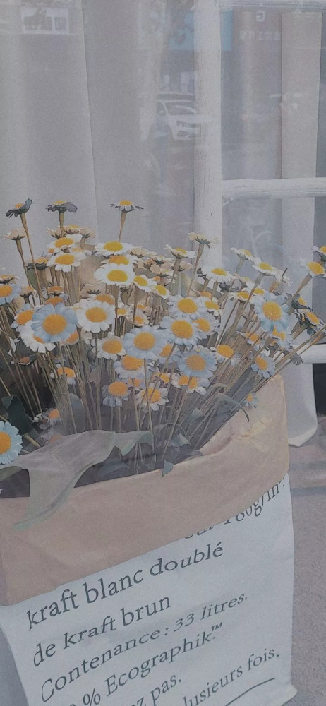 适合春天发的英文带翻译文案 腾讯新闻