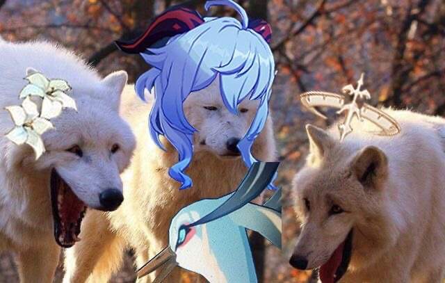 《原神》欢乐沙雕图第二十七期:深境螺旋11-2的痛_腾讯新闻