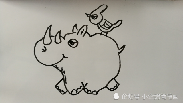 犀牛背上的小鸟简笔画