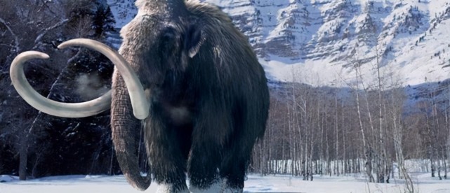 虽然历经万年,但冻土中挖出来的不少猛犸象就像前几天刚冻进冰箱一样