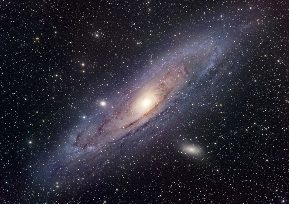 最毛骨悚然25号宇宙实验:在人造天堂里,560天后走向灭亡!_腾讯新闻