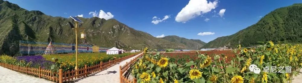 李成才61洮州花儿唱响五无甘南