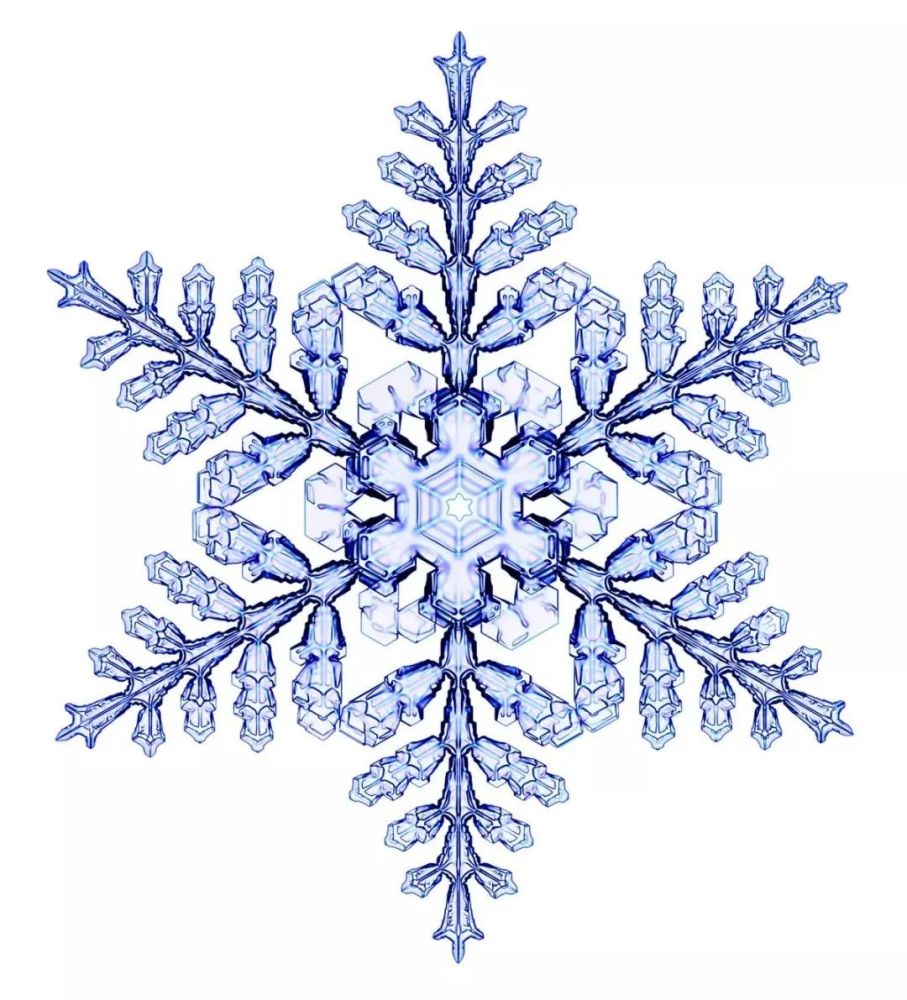 雪花的秘密档案