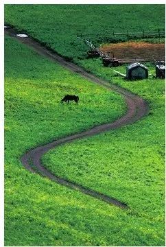 S型构图 腾讯网