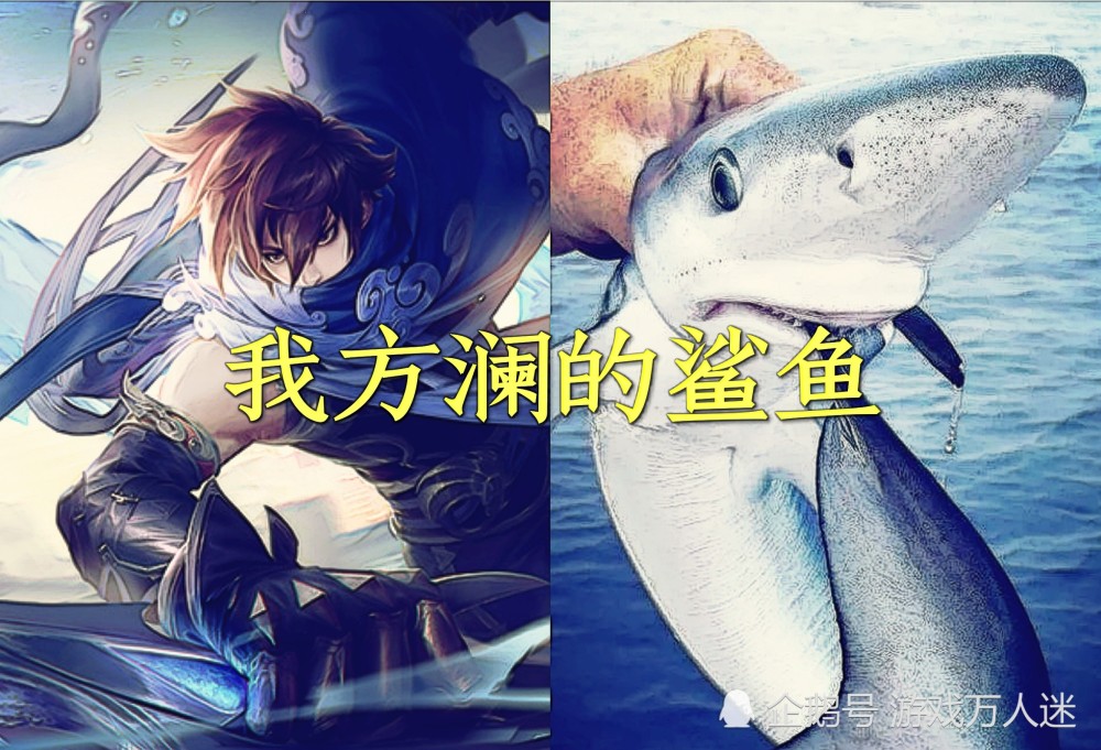 然而这样就出现了两种情况,别人家澜的大鲨鱼是上图右边的鲨鱼,看起来