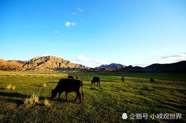 內蒙古西部四字城市身居河套地區名字卻常被讀錯