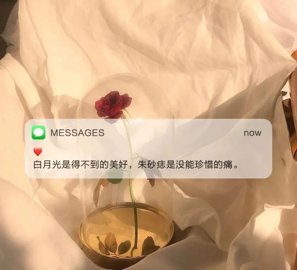白月光与朱砂痣发圈文案