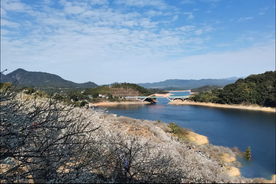 從化石門公園是國家4a級景區,公園景區很大,是適合自駕車遊覽的森林