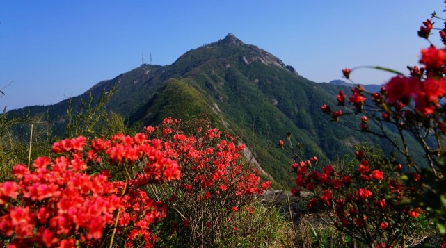 南岳衡山的春天