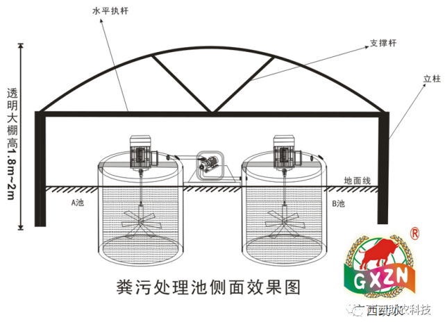 低温地区可以将处理池建设在温室透明大棚中,四季可以处理还可以遮雨