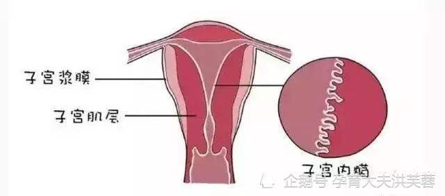 南昌華兒山生殖醫院科普子宮內膜要多厚才能讓受精卵穩當安家