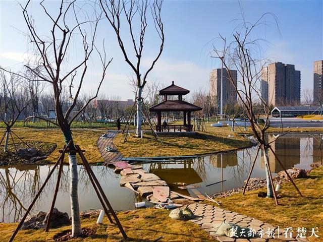 河湾绽放新公园巡司河活水公园即将完工