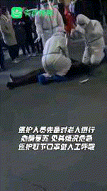 覆巢之下无完卵猜一成语_木猜一成语疯狂看图