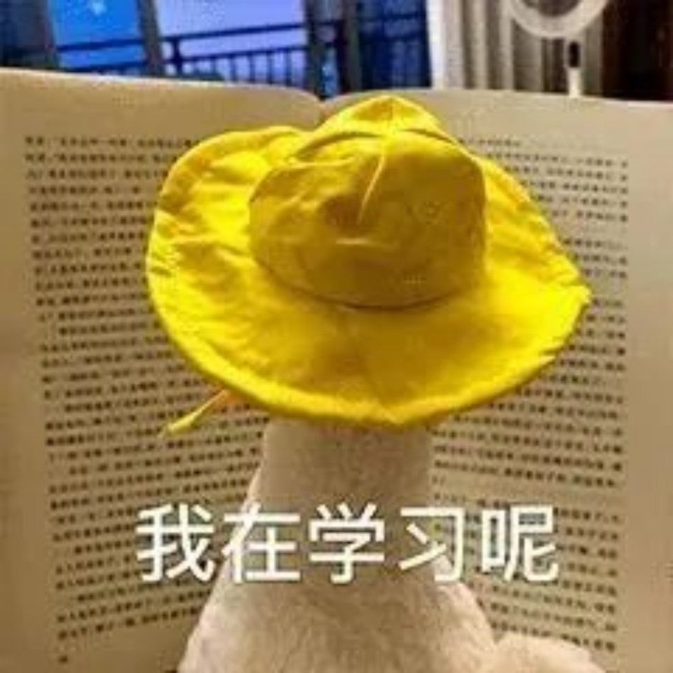 沙雕表情包第十一期学习篇