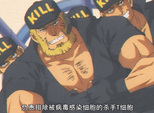 这些一脸横肉的是t细胞:这是女主,贼帅:白细胞则成了女生,她们会帮忙