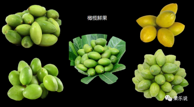 常见杂果类橄榄与油柑