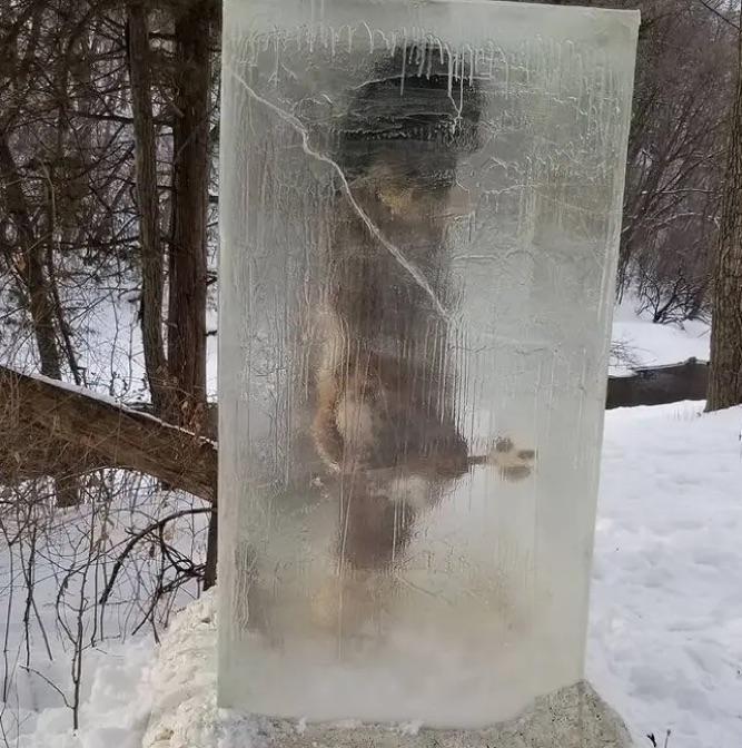 美国公园出现神秘的原始人雕像冰封的雕像鼓励人们踏足户外