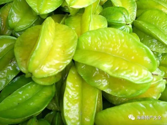 海南热带水果全介绍(第2篇)_腾讯新闻