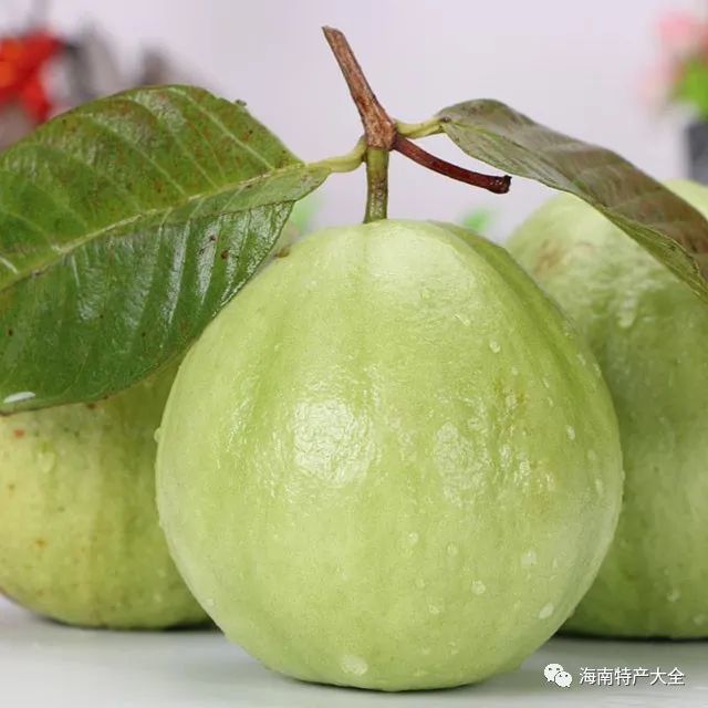 海南冬季有什么热带水果?看看哪个是你的最爱?_腾讯新闻