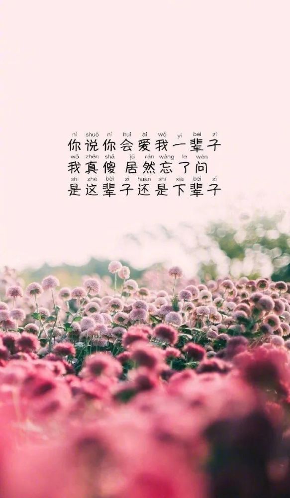 适合发朋友圈网上很火的哲理人生语录正能量说说早安