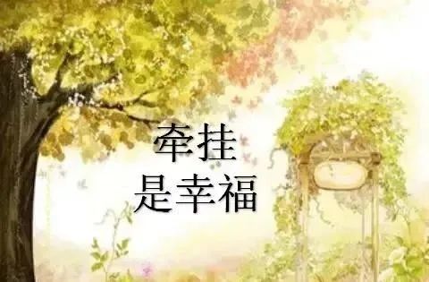 牵挂,总是惦记在心.挂,总是思念于情_腾讯新闻