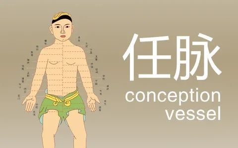 雙向調節|針刺神闕穴,既可以治洩瀉,又可以治便秘