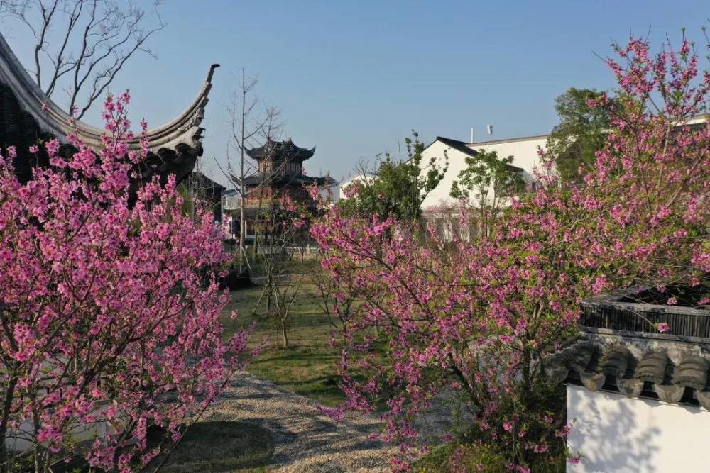 千年姑蘇城,風雅桃花塢!重磅!7月1日,蘇州桃花塢即將大變樣_騰訊新聞