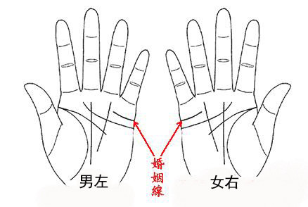 麻衣神相手相算命婚姻线看你的姻缘状况