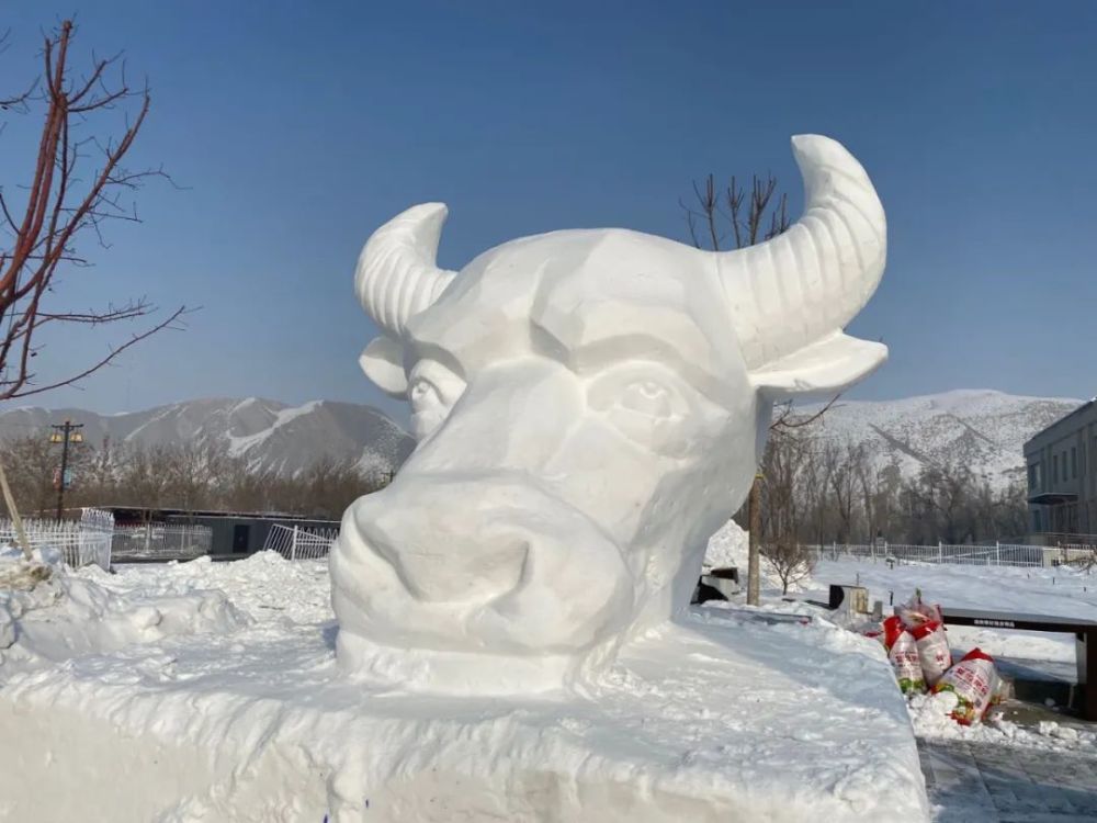 最吸引人的是这牛头的雪雕,愿我们新的一年"牛"转乾坤.