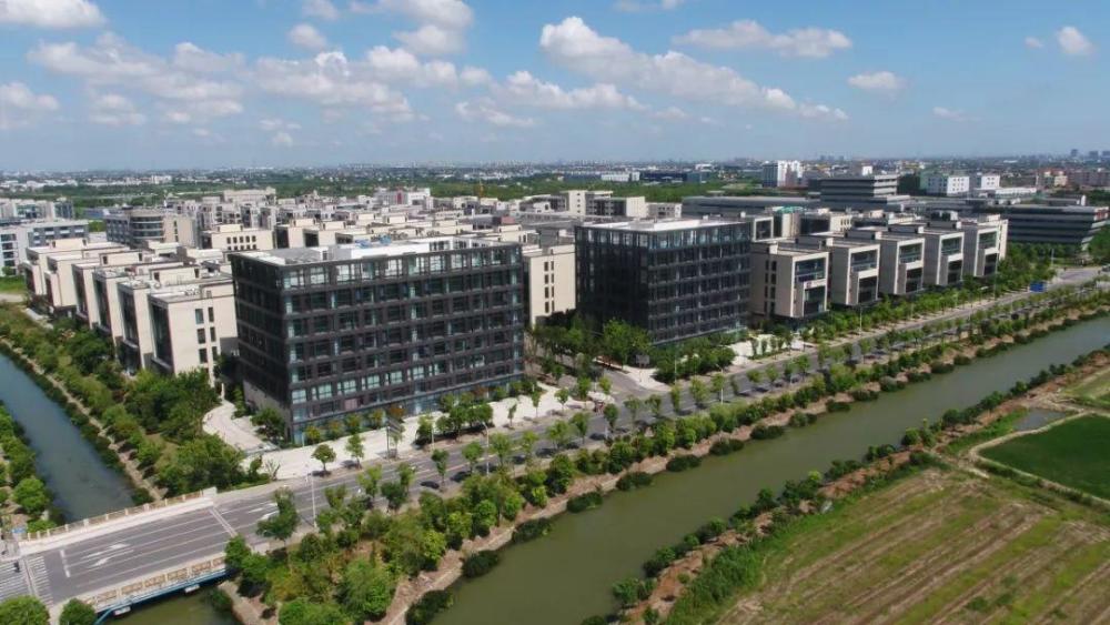 6万平方米的张江人工智能岛已集聚了ibm,微软,平头哥,云从科技,小蚁