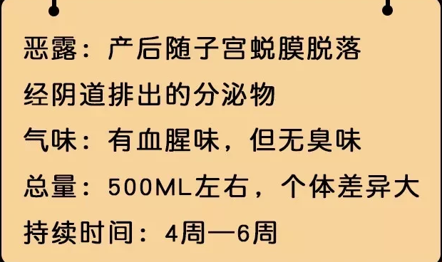 產後惡露不盡太難了,這幾道月子餐來幫你